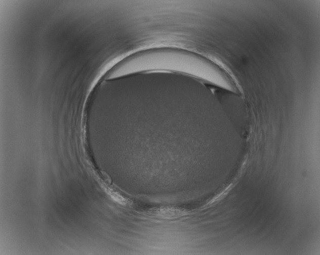 X0000080711077200701021022