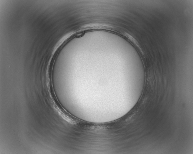 X0000080711082200701021022