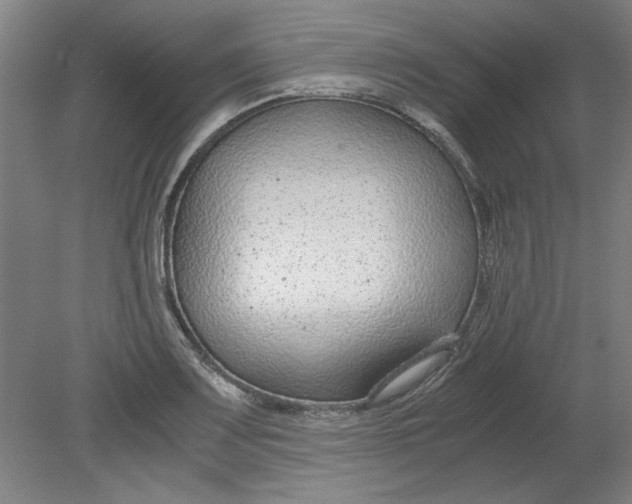 X0000080711083200701021022