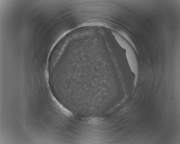 X0000080711084200701021022