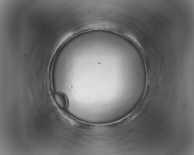 X0000080711087200701021022