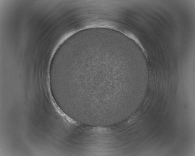 X0000080711088200701021022