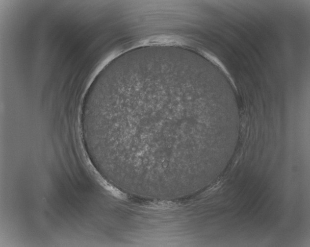 X0000080711091200701021022