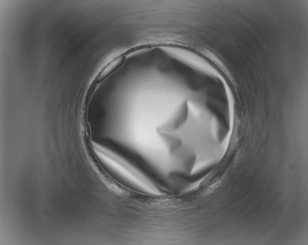 X0000080711093200701021022