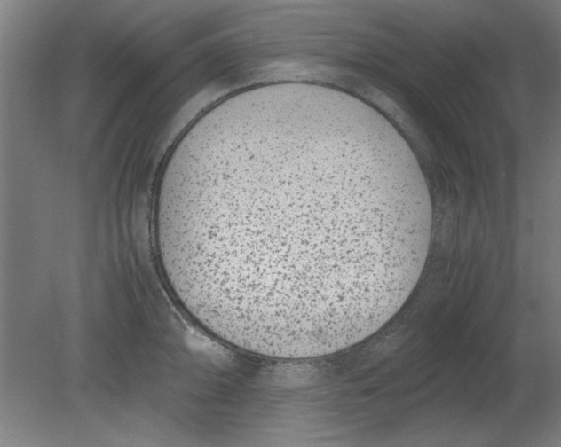 X0000080711094200701021022