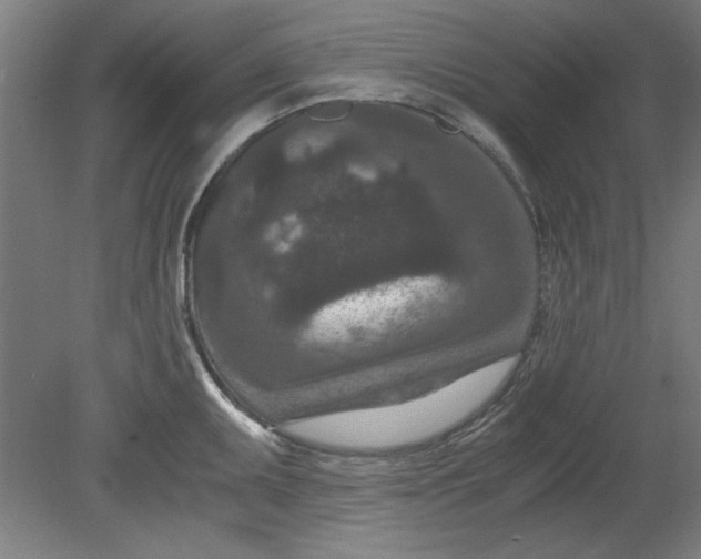 X0000080711095200701021022