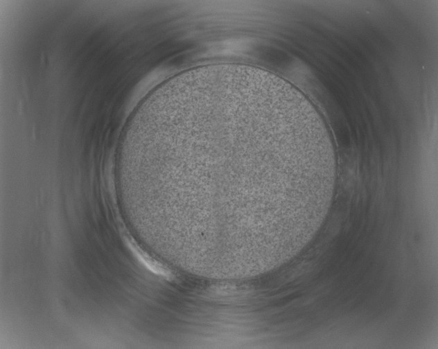 X0000080711098200701021022