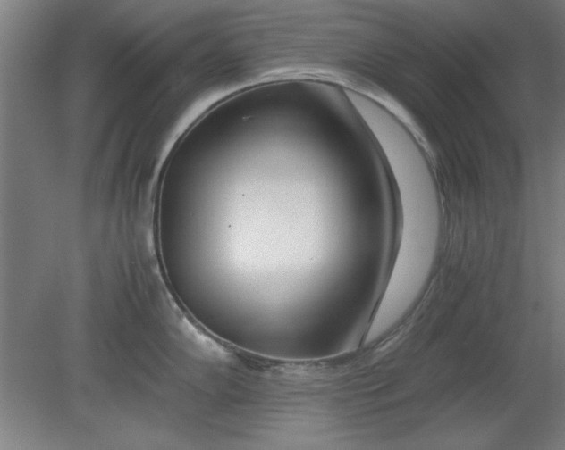 X0000080711102200701021022