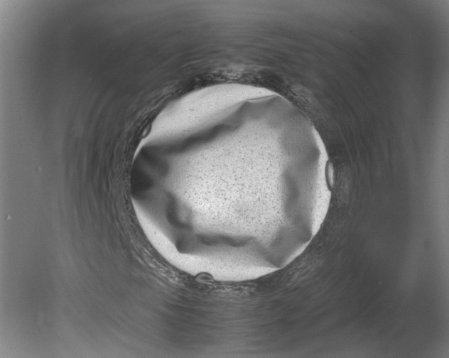 X0000080711105200701021021