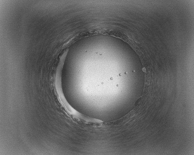 X0000080711109200701021021