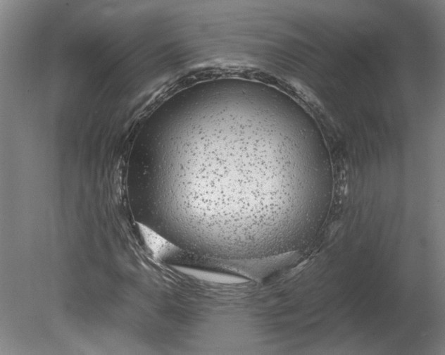 X0000080711110200701021021