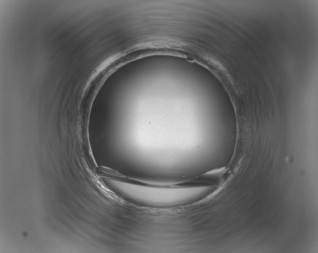 X0000080711114200701021021