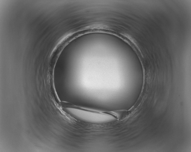 X0000080711115200701021021