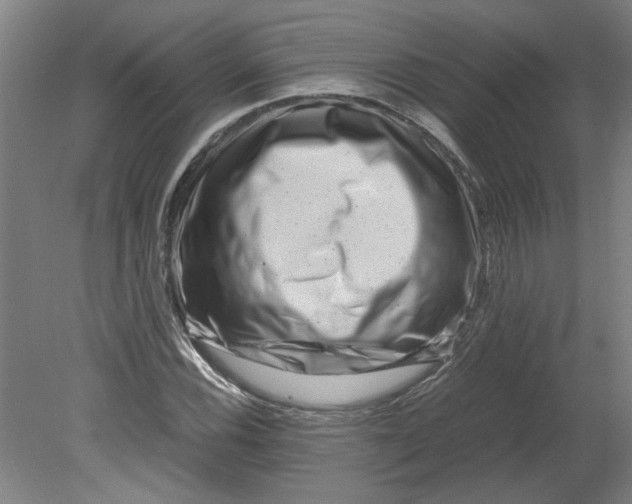 X0000080711116200701021021