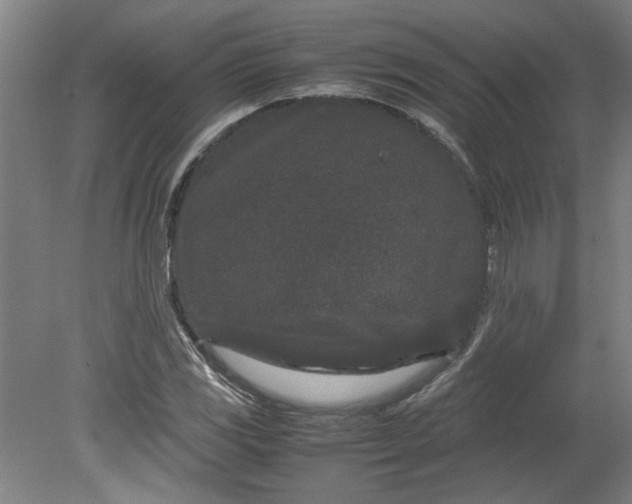 X0000080711117200701021021