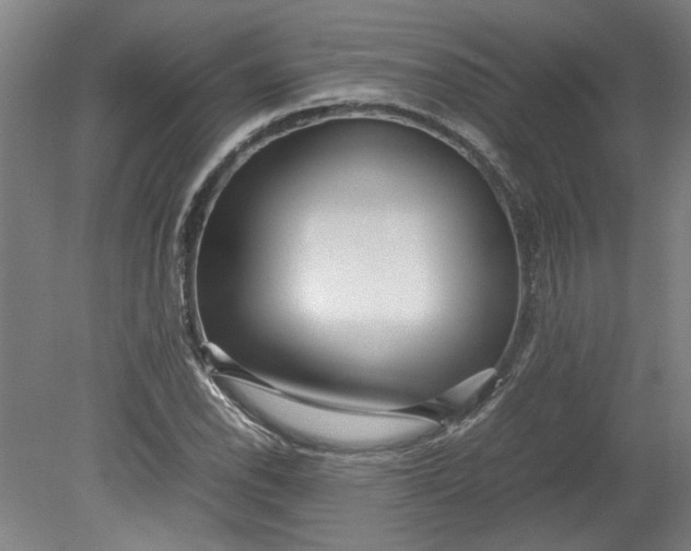 X0000080711118200701021021