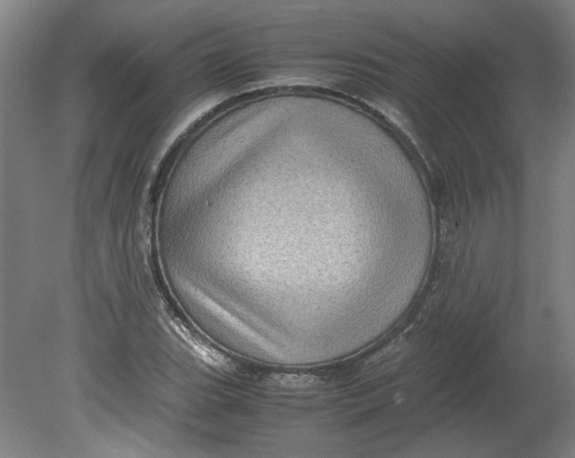 X0000080711119200701021021