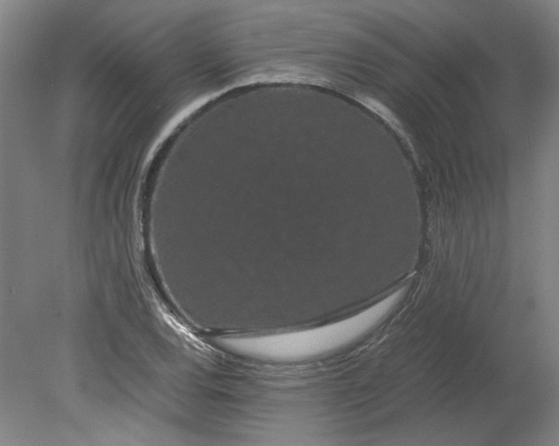 X0000080711120200701021021