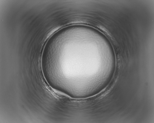 X0000080711121200701021021