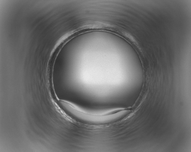 X0000080711122200701021021