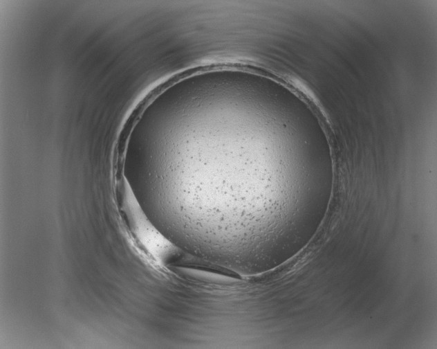 X0000080711124200701021021