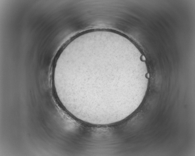 X0000080711126200701021021