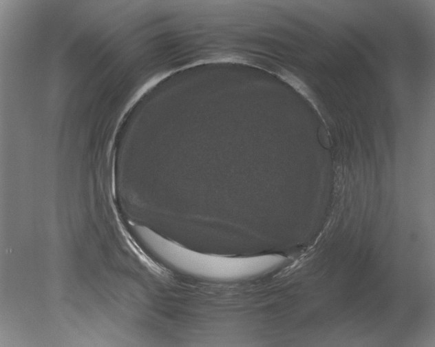 X0000080711127200701021021