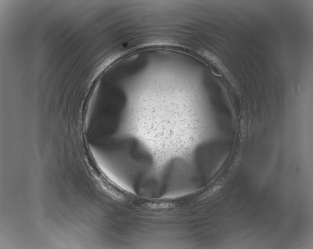 X0000080711129200701021021