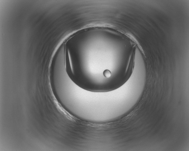 X0000080711132200701021021