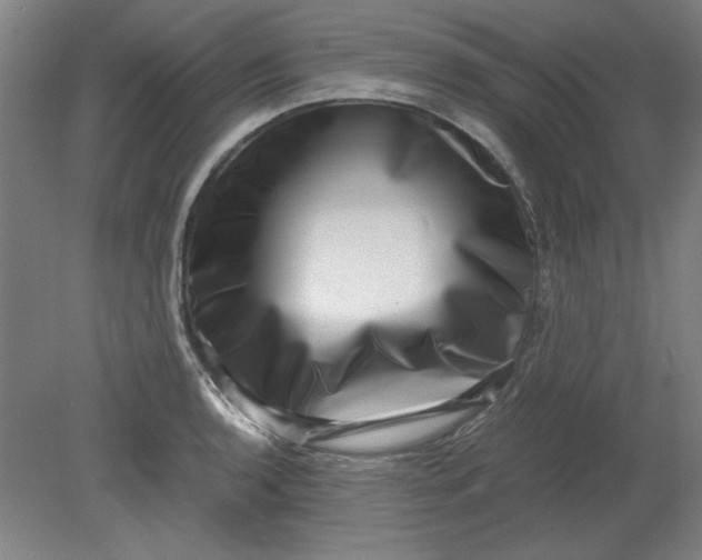 X0000080711136200701021021