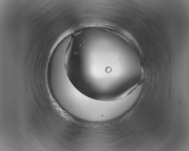 X0000080711138200701021021