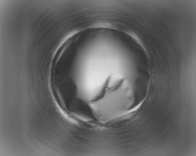 X0000080711139200701021021