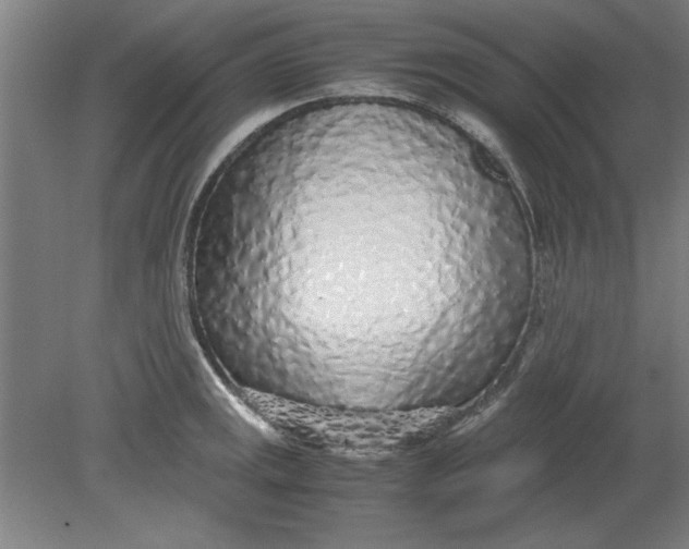 X0000080711141200701021022