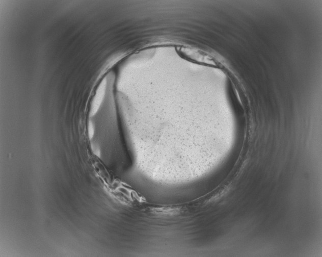 X0000080711145200701021022