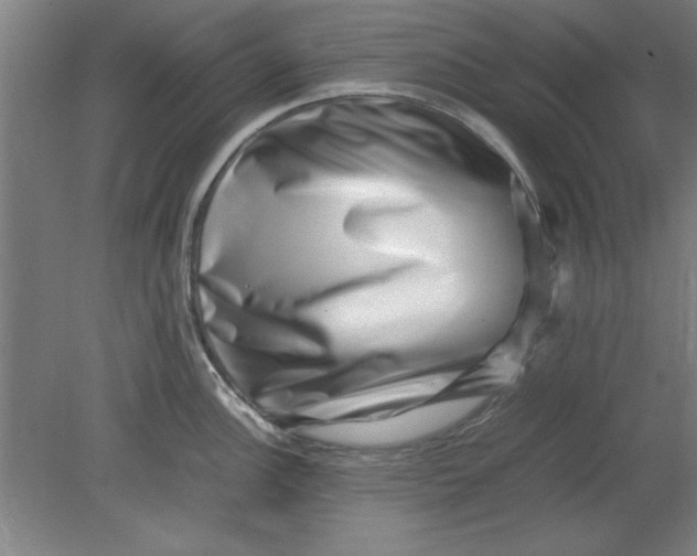 X0000080711148200701021022