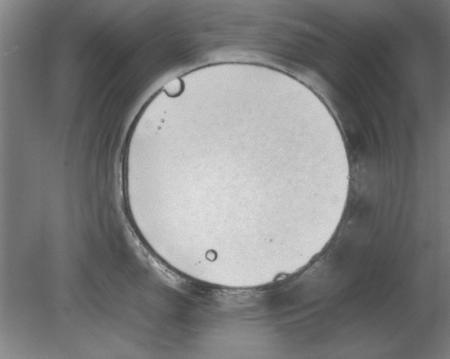 X0000080711150200701021022