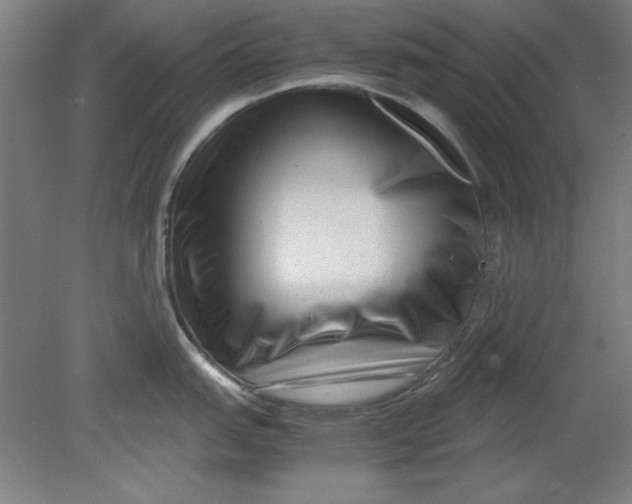 X0000080711151200701021022