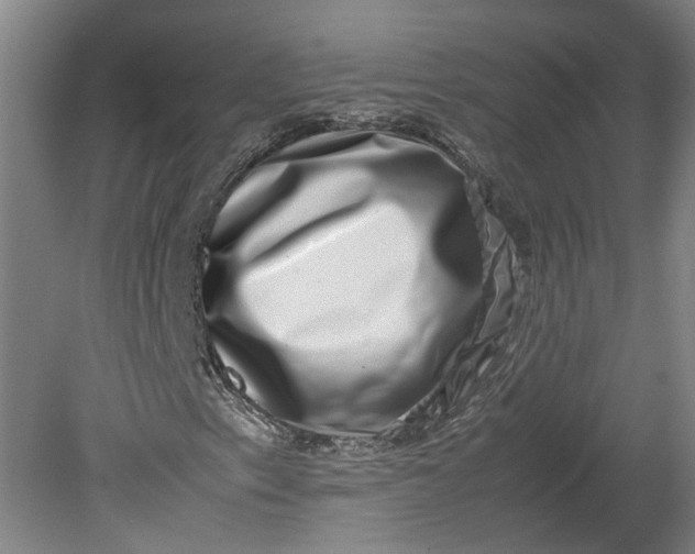 X0000080711153200701021021