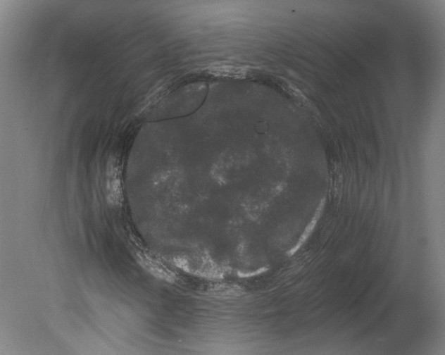 X0000080711154200701021021