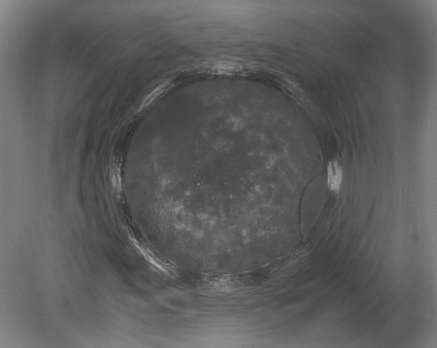 X0000080711155200701021021