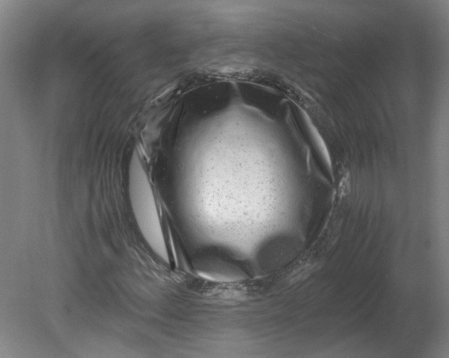 X0000080711156200701021021