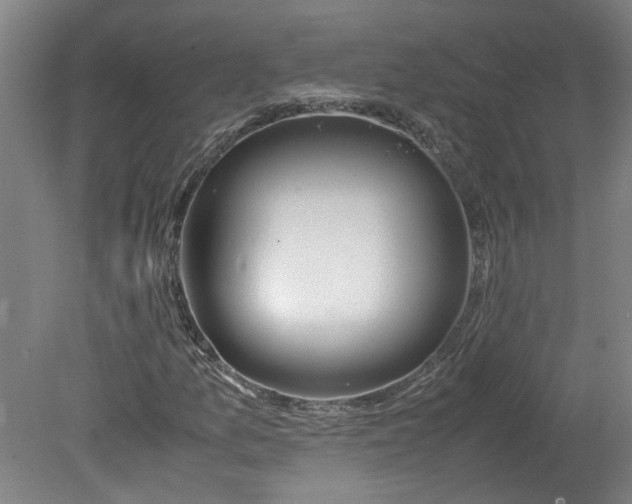 X0000080711157200701021021