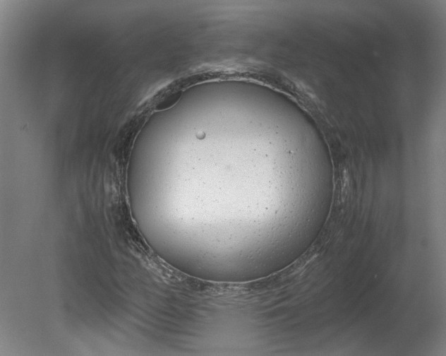 X0000080711158200701021021