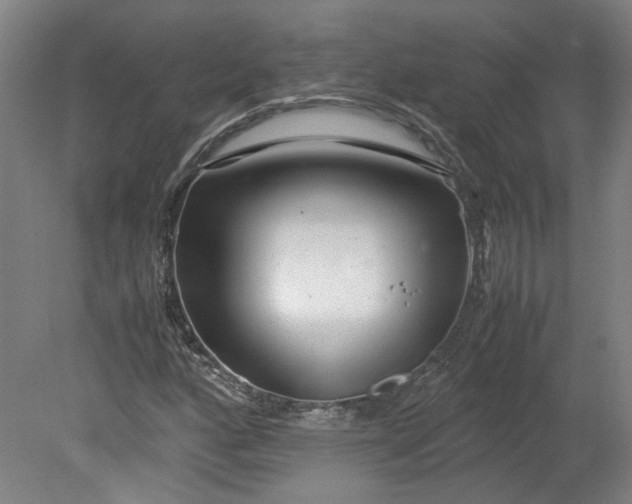 X0000080711160200701021021