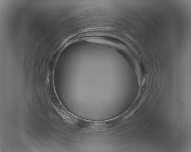 X0000080711161200701021021