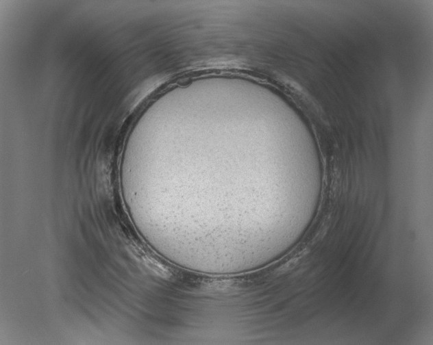 X0000080711162200701021021