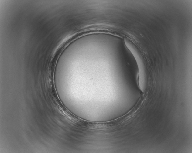 X0000080711164200701021021