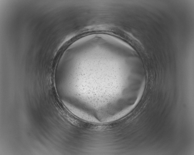 X0000080711166200701021021