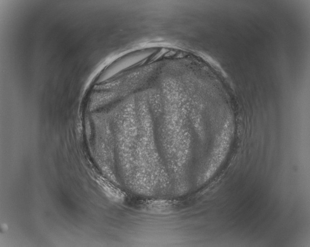 X0000080711167200701021021