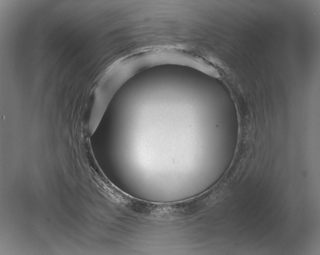 X0000080711169200701021021